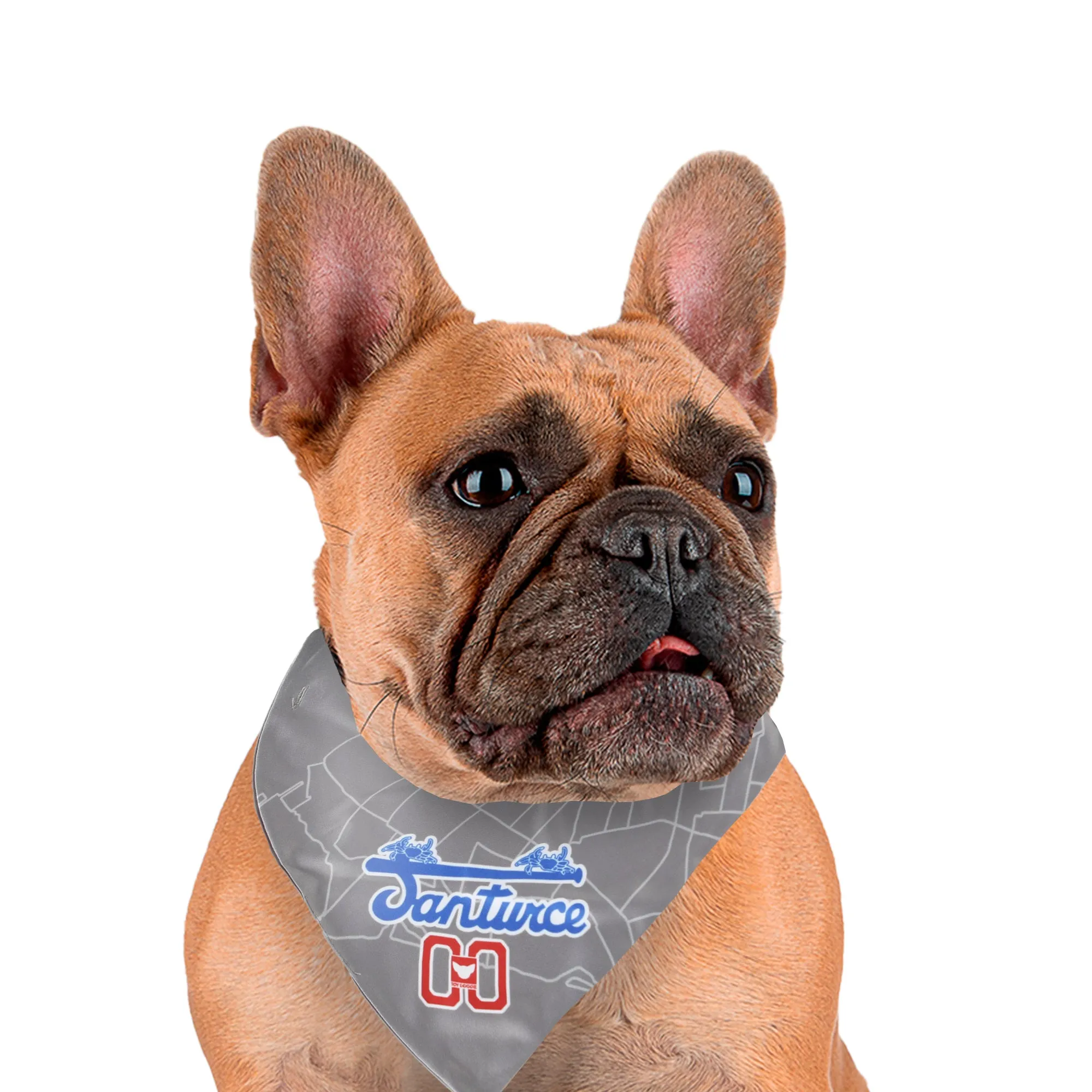 Cangrejeros de Santurce Baseball Team Dog Bandana | Toy Doggie