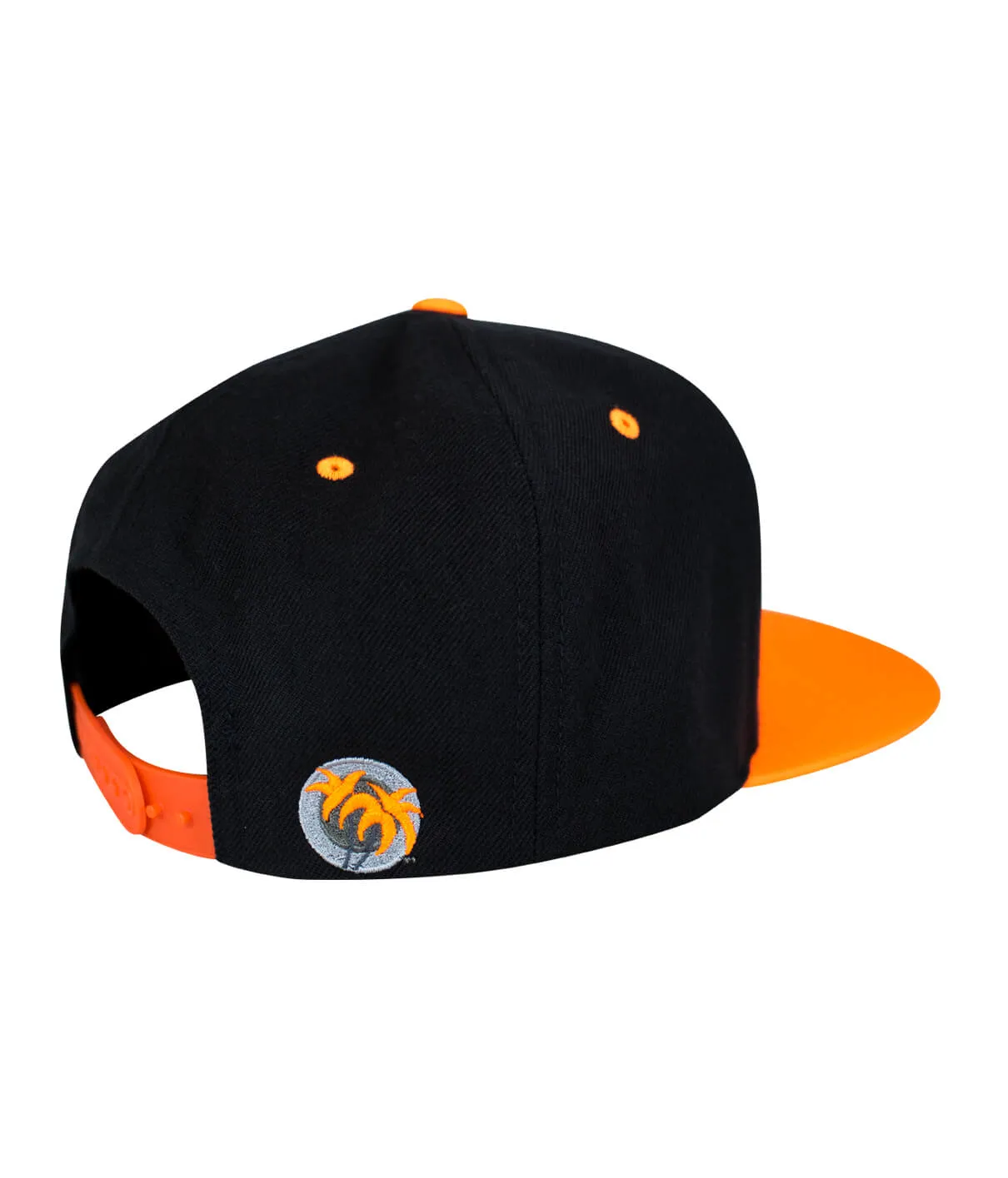 "Half Pipe" Flatbill Snapback Hat