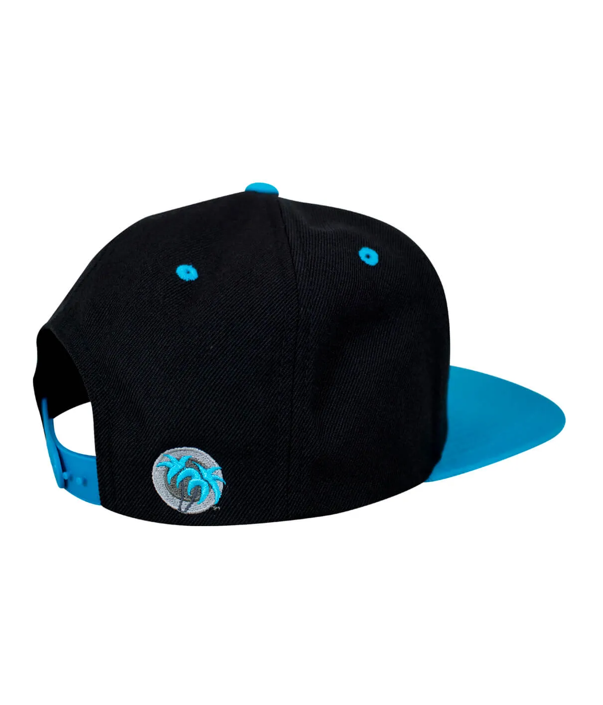 "Half Pipe" Flatbill Snapback Hat